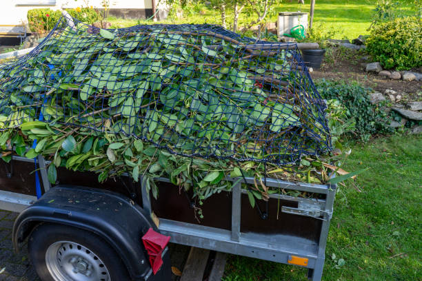 Best Hoarding Cleanup  in Kaysville, UT